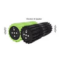 Vibrations-Massageroller und Bluetooth-Lautsprecher
