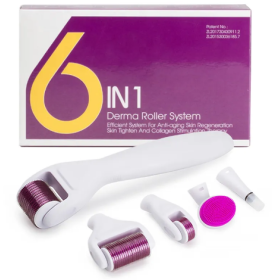 Dermaroller Microneedling für Gesicht und Körper 6 in 1