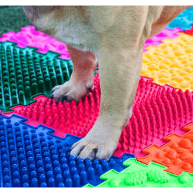 Sensorik Strukturmatten für Hunde Puzzle "Mix" 10 Elemente