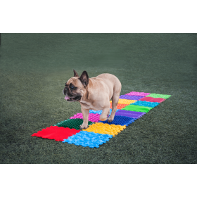 Sensorik Strukturmatten für Hunde Puzzle "Mega Mix" 14 Elemente