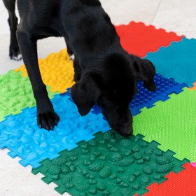 Sensorik Strukturmatten für Hunde Puzzle "Mix" 8 Elemente