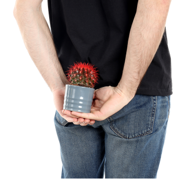 Wie kann man Hämorrhoiden vorbeugen?