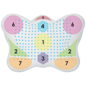 Ergonomisches Anti-Falten Schlafkissen AntiAging Kissen Kopfkissen "Butterfly" mittelhart